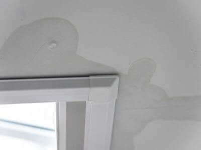 About Garden City Black Mold Removal - black mold removal experts in Garden City