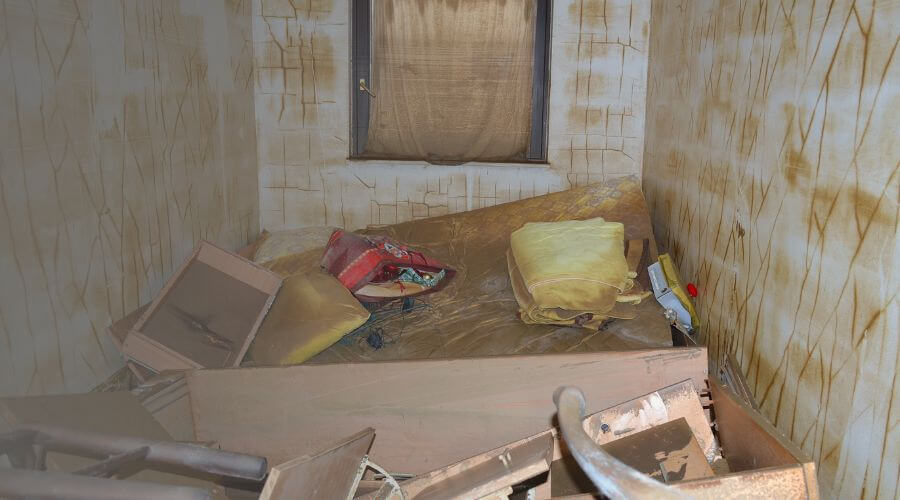 Why choose Garden City Black Mold Removal for black mold removal in Garden City